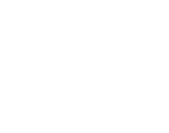 Sonic Sound & Lighting