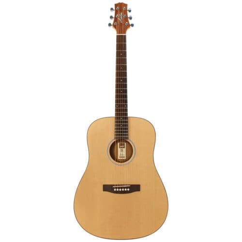 Ashton D20NTM Dreadnought Acoustic Guitar