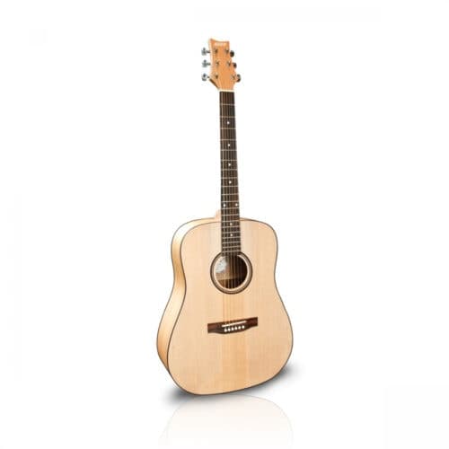 Ashton D20SNTM Solid Top Acoustic Guitar