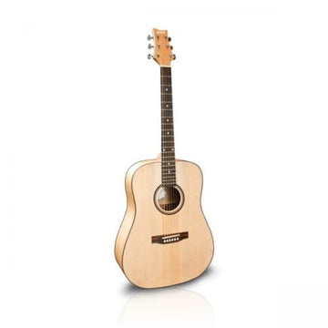 Ashton D20SNTM Solid Top Acoustic Guitar