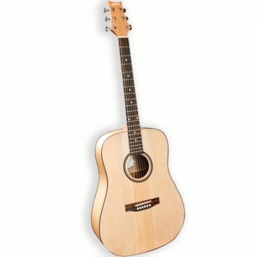 Ashton D20SNTM Solid Top Acoustic Guitar