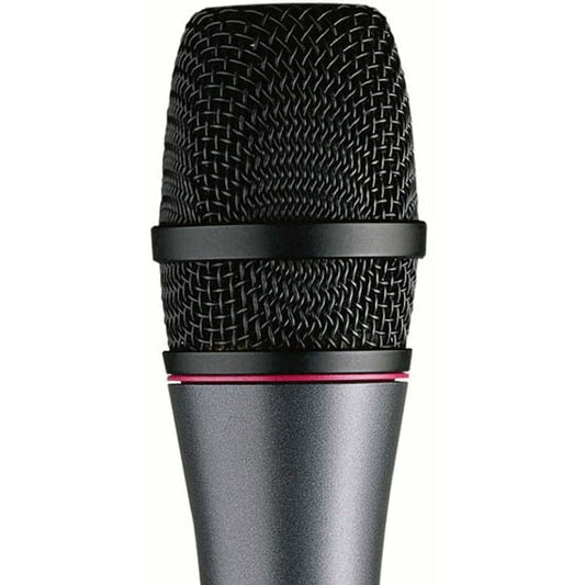 Sennheiser E865-S Studio Condenser Microphone with Switch